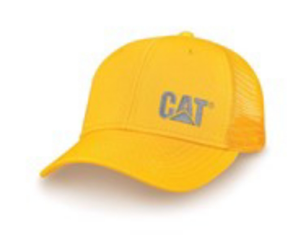 Picture of Gold Mesh Back Cap